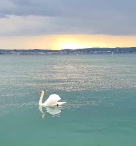 Marilyn Arpa Apartment Sirmione Buitenkant foto